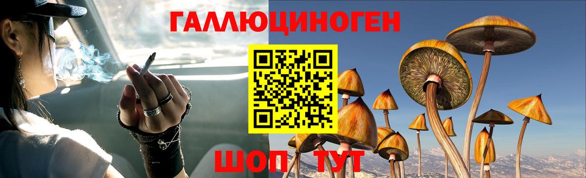 Псилоцибиновые грибы MAGIC MUSHROOMS  Вход с VPN  Саров  Псилоцибиновые грибы прущие грибы 